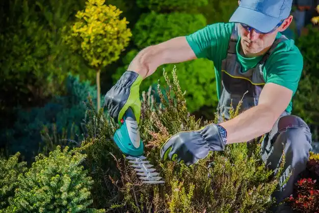 landscaping services Church Point